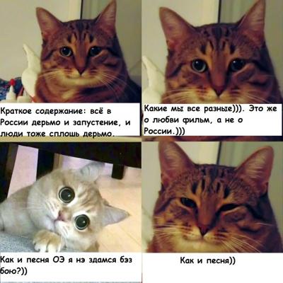 Прикрепленное изображение: кот1.jpg